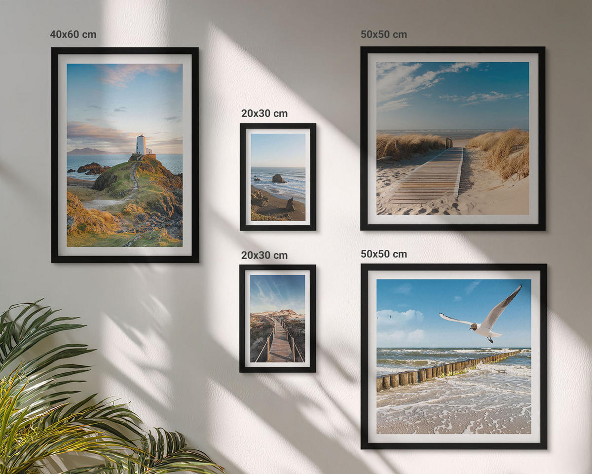 BILDER SET 5er Set - 50x50 cm & 20x30 cm & 40x60 cm Schwarzer Rahmen - Palmen am Meer, blaues Wasser - Schwarz, Kunststoff (40/60cm) - TULUP