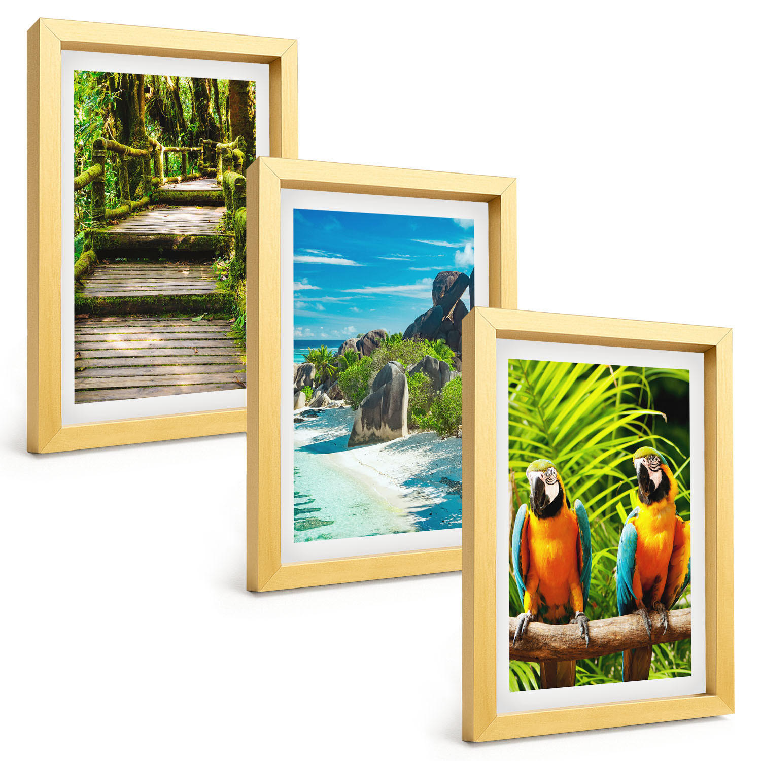 BILDER SET 3er Set - 20x30 cm Goldrahmen - Tropischer Wald Papageienwasserfall - Goldfarben, Kunststoff (20/30cm) - TULUP
