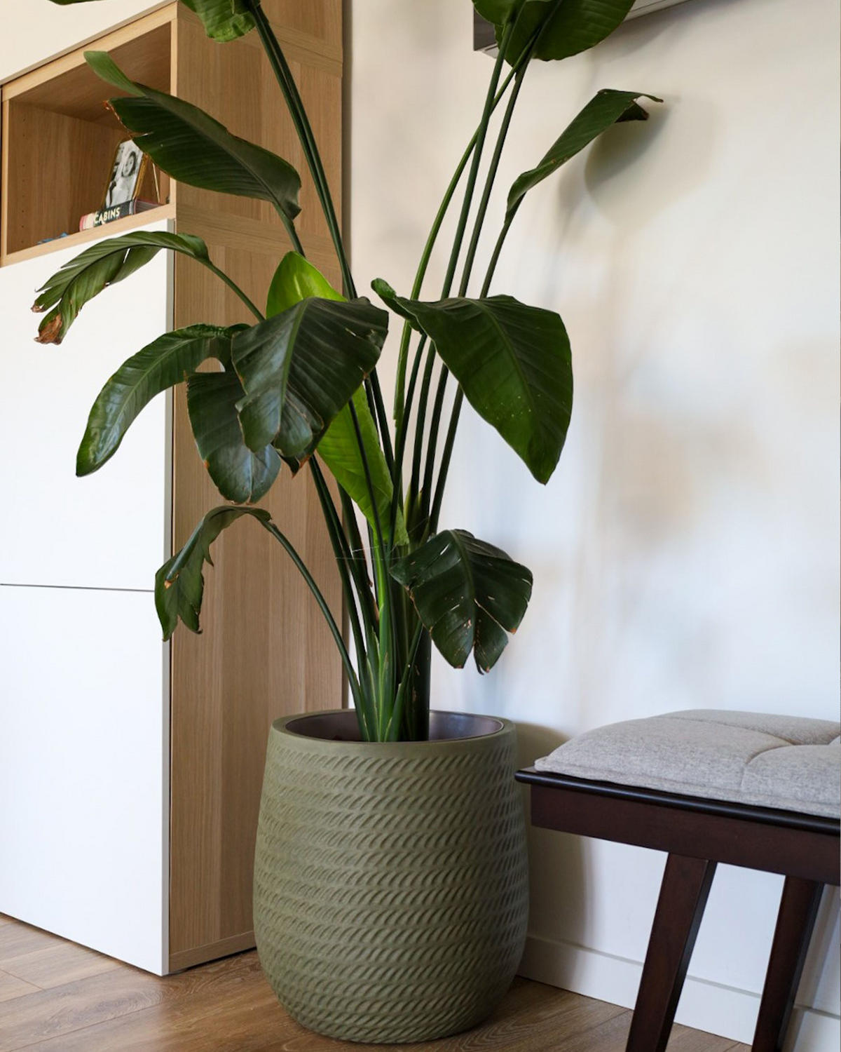 KVĚTINÁČ olivově zelený kulatý 39/39/44 cm Livadia - zelená barva, přírodní materiály (44cm) - Beliani