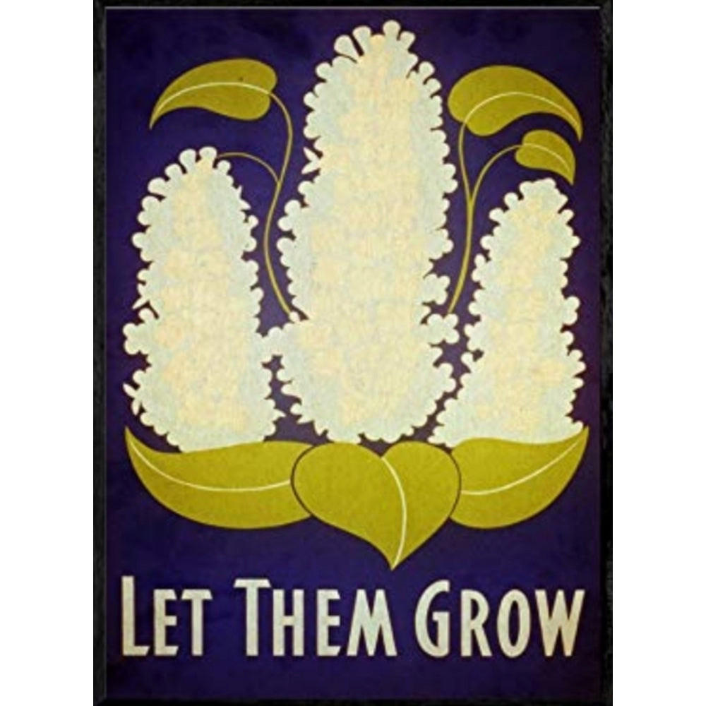 POSTER Lassen Sie Sie Wachsen A3 Rahmenlos - Klar, Papier (29.7/5/42cm) - Nacnic