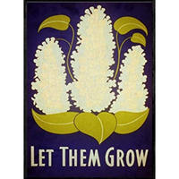 POSTER Lassen Sie Sie Wachsen A3 Rahmenlos - Klar, Papier (29.7/5/42cm) - Nacnic