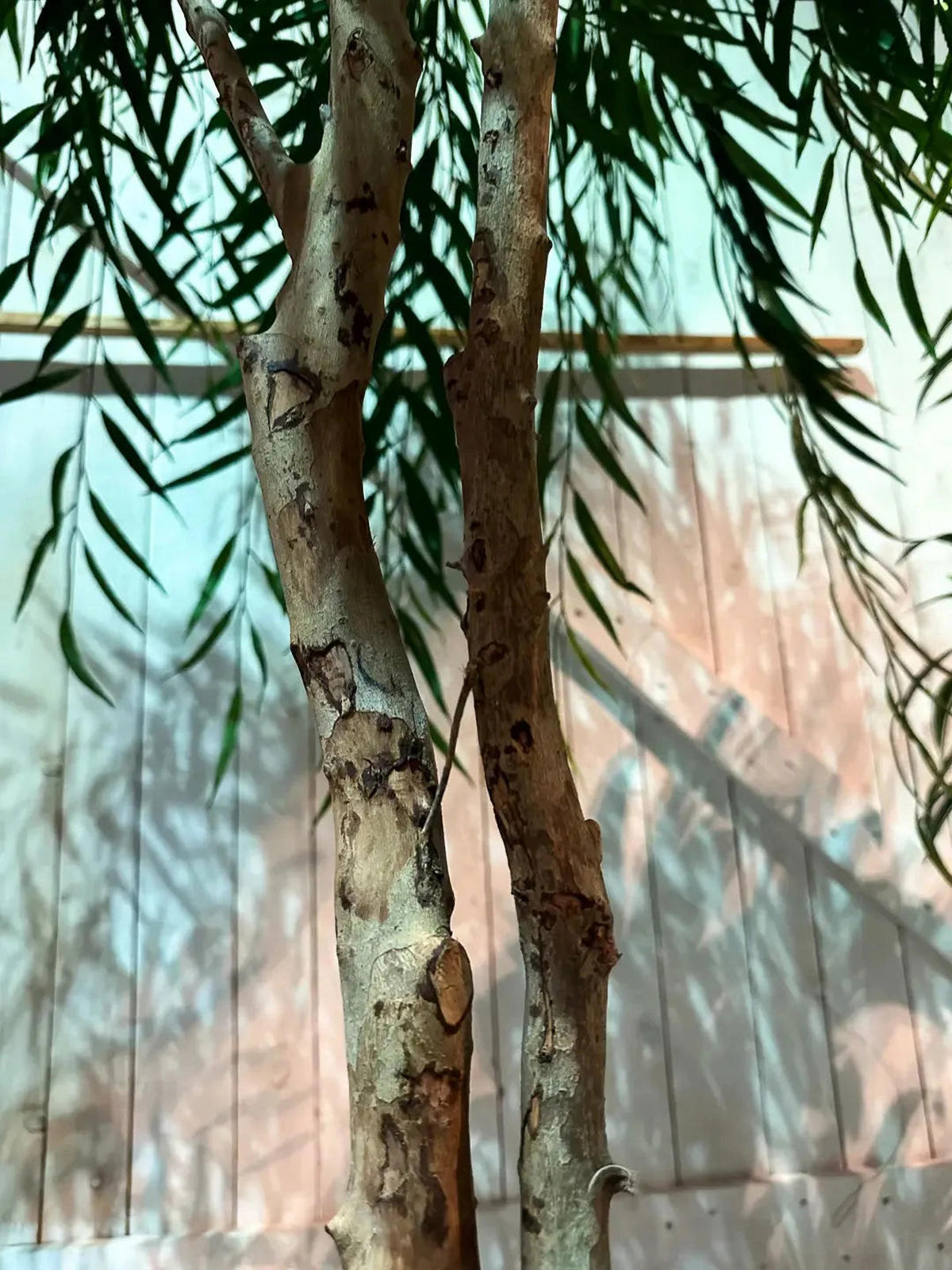 KUNSTBAUM Künstliche Weide - Pepe 240 cm - Grün, Kunststoff (240cm) - aplanta