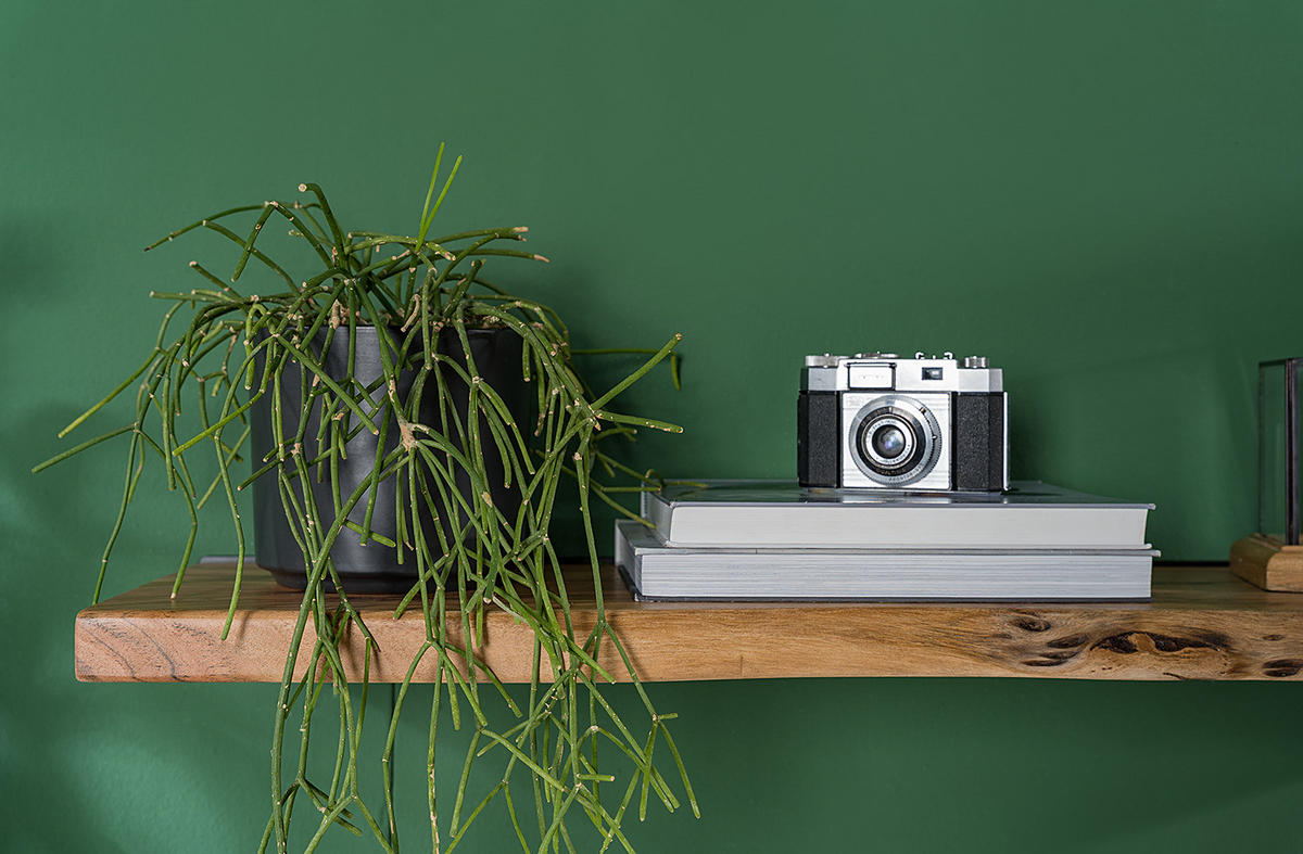 WANDBOARD - Akazie massiv - Akaziefarben, Holz (110/3.5/23cm) - home24