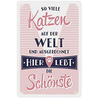 BLECHSCHILD 20/30 cm Animal Club So viele Katzen auf der Welt - Multicolor, Metall (20/30/0.2cm) - Nostalgic-Art