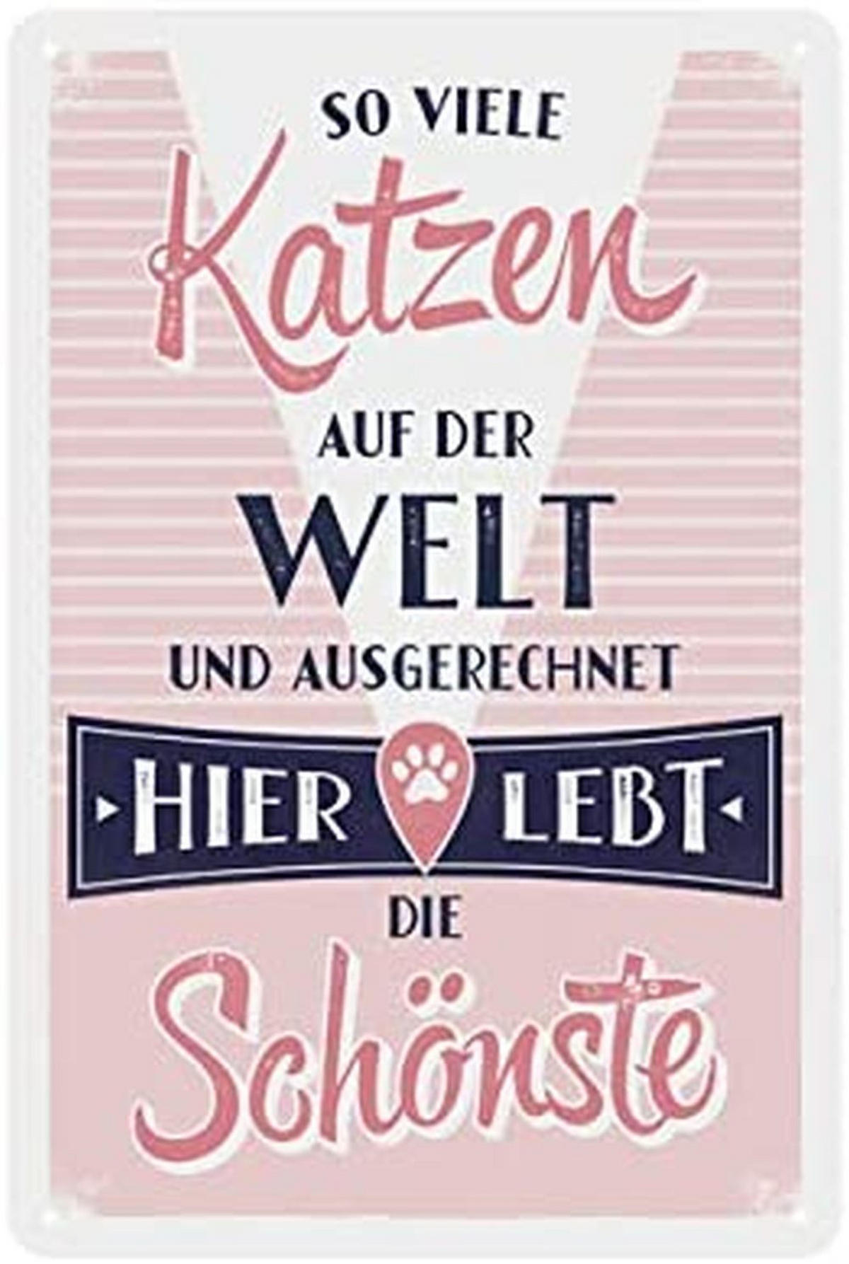 BLECHSCHILD 20/30 cm Animal Club So viele Katzen auf der Welt - Multicolor, Metall (20/30/0.2cm) - Nostalgic-Art