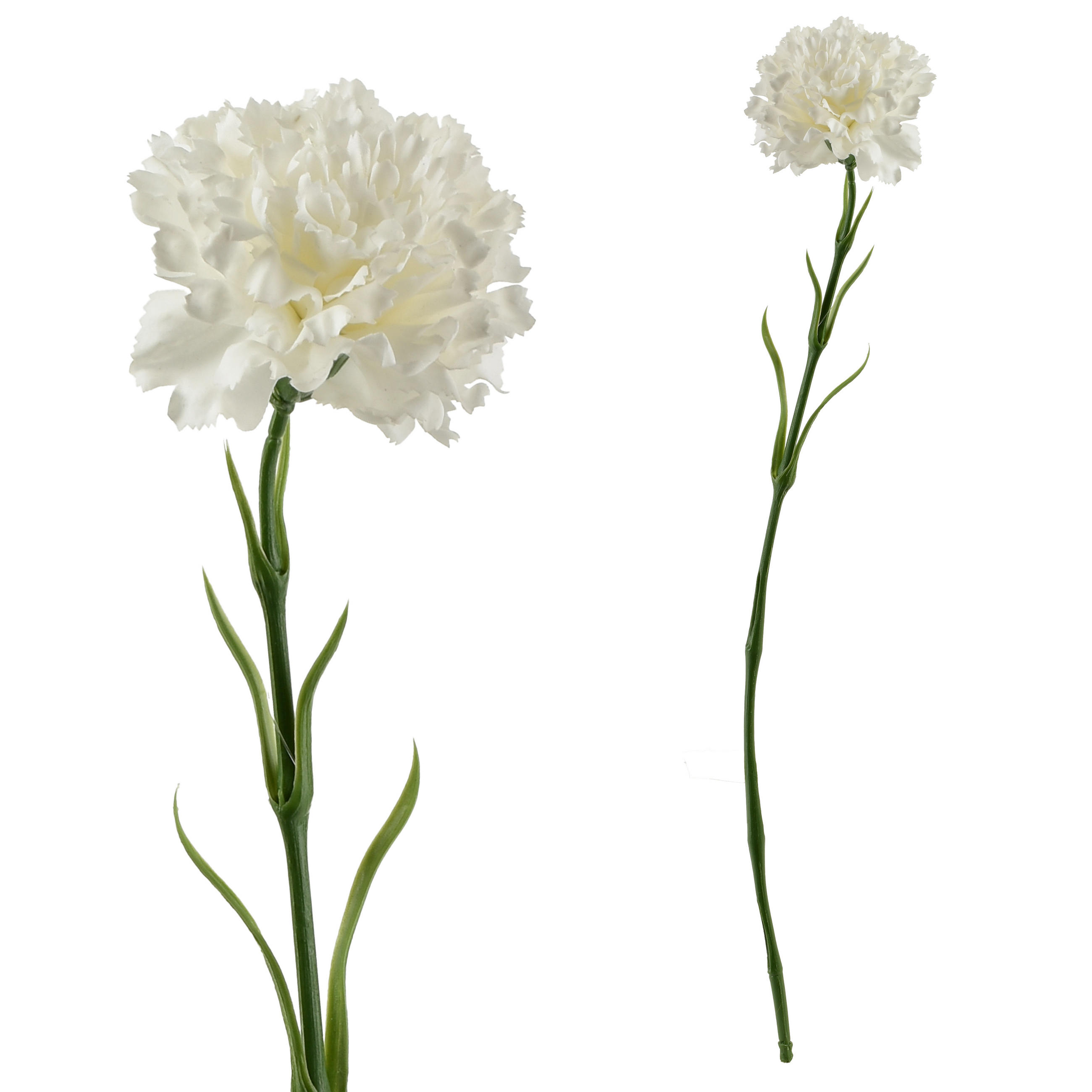 KVĚTINA, plast, béžová - bílá, plast (50cm) - Mondex