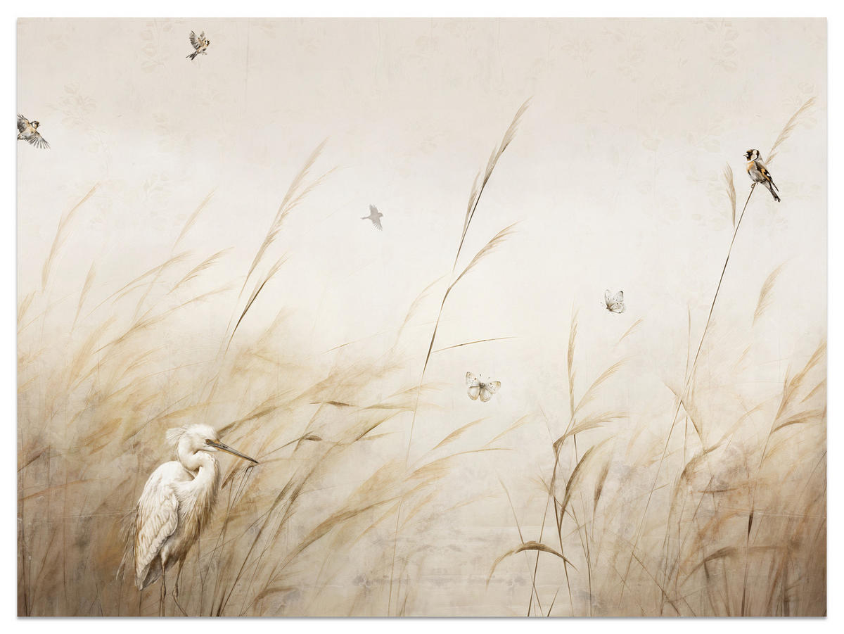 FOTOTAPETE für Schlafzimmer Vögel Storch Hohe Gräser Aquarell 150x105 - Beige/Gelb, Papier (150/105cm) - Muralo