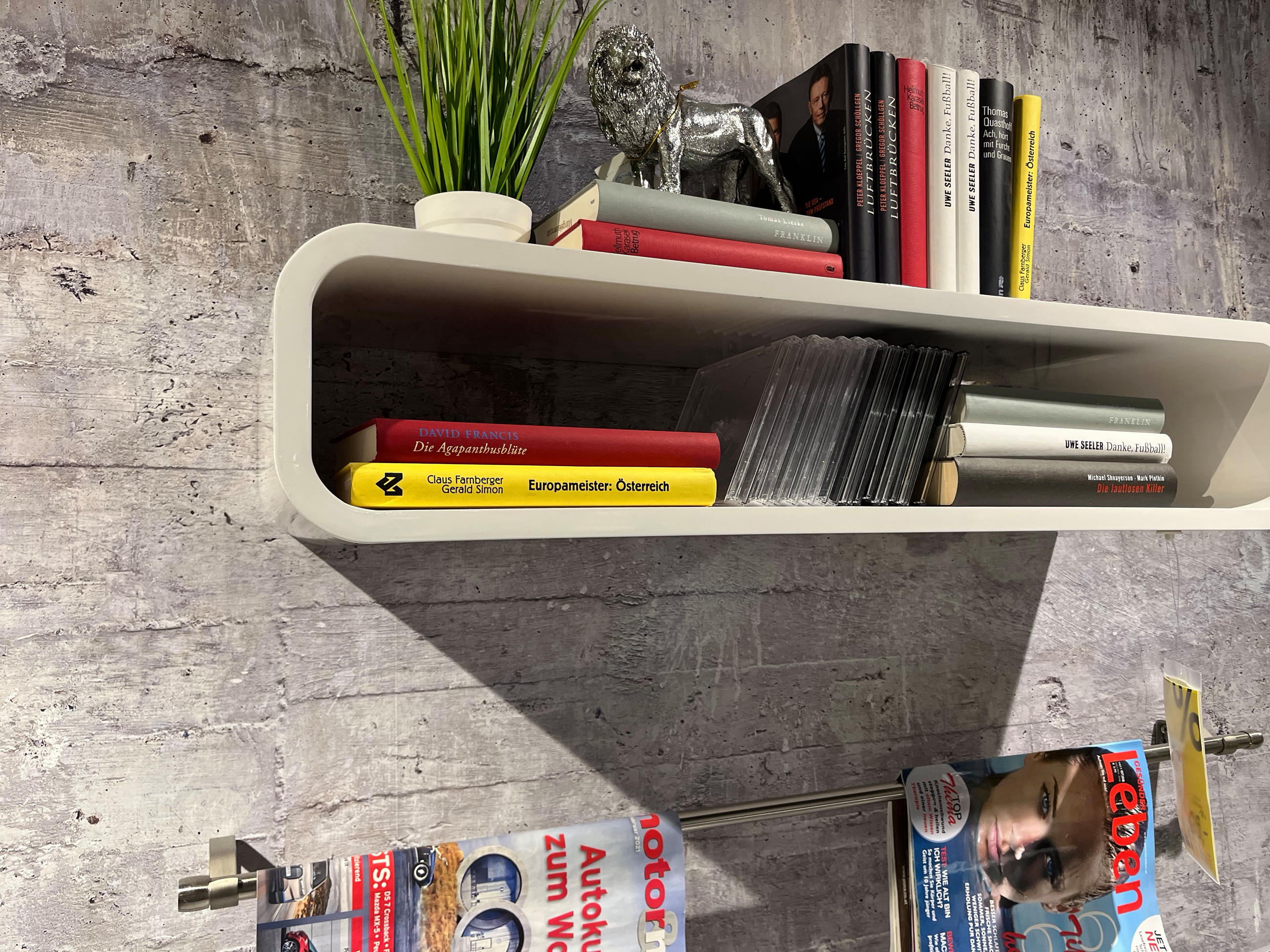 Wandregal Pit - Carryhome