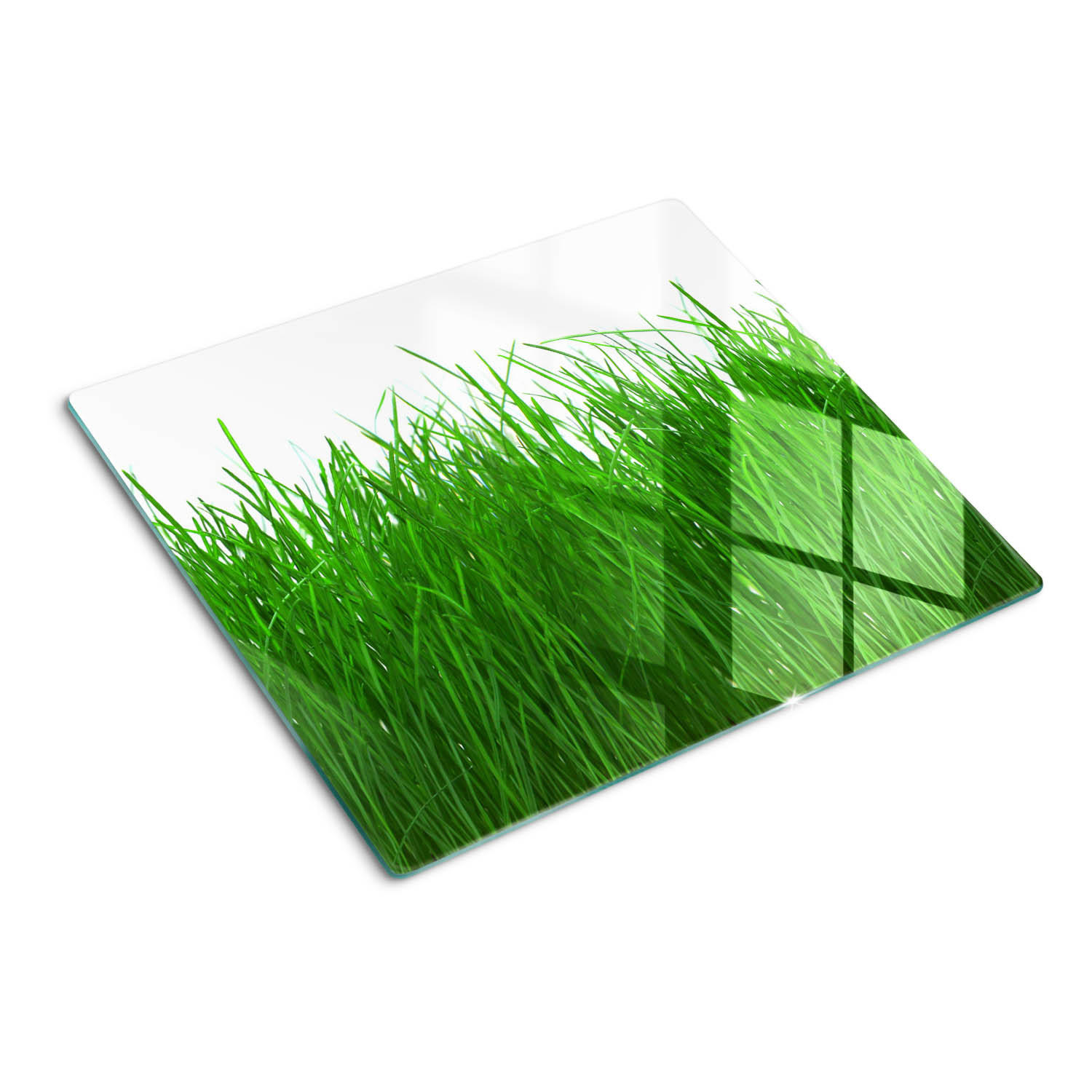 GLASPLATTE 60x52 cm Gras - Grün, Glas (60/0.4/52cm) - TULUP