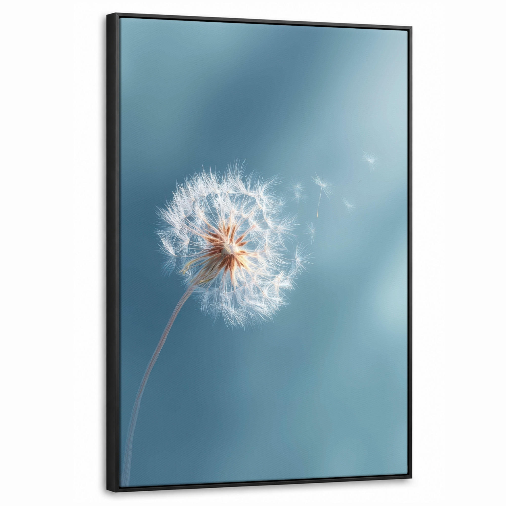 LEINWAND Bilder mit Rahmen - Löwenzahn - Wind - Blau - 60x90 - Blaugrau, Textil (60/90cm) - MuchoWow