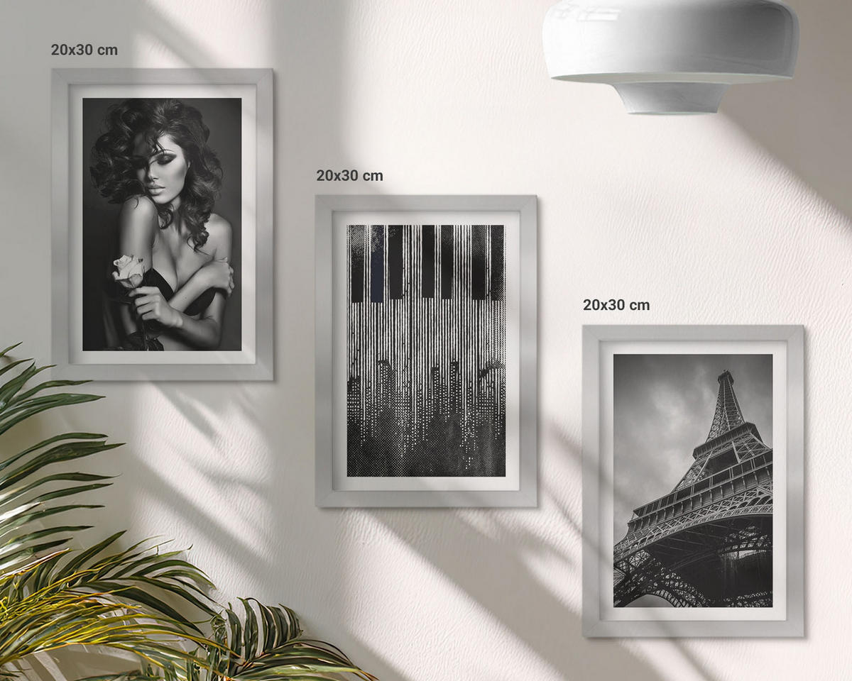 WANDBILDER 3er Set - 20x30 cm Silberner Rahmen - Porträt einer Frau mit einer Eiffel-Rose - Silberfarben, Kunststoff (20/30cm) - ArtPrintCave