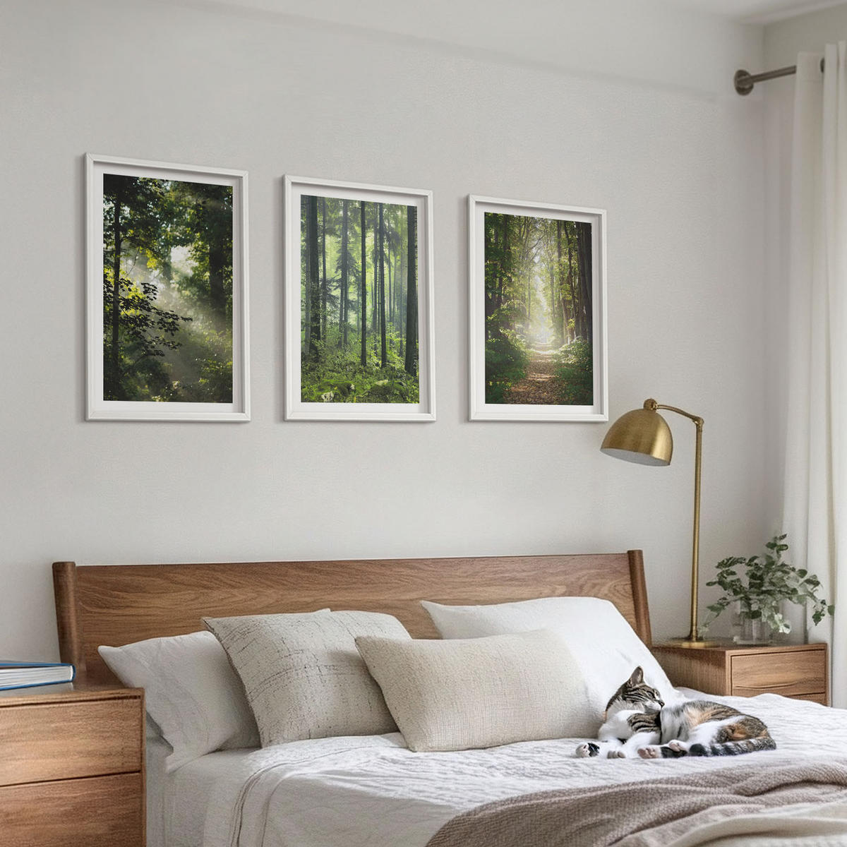 BILDER SET 3er Set - 40x60 cm Weißer Rahmen - Grüne Wälder mit Lichtstrahlen - Weiß, Kunststoff (40/60cm) - TULUP