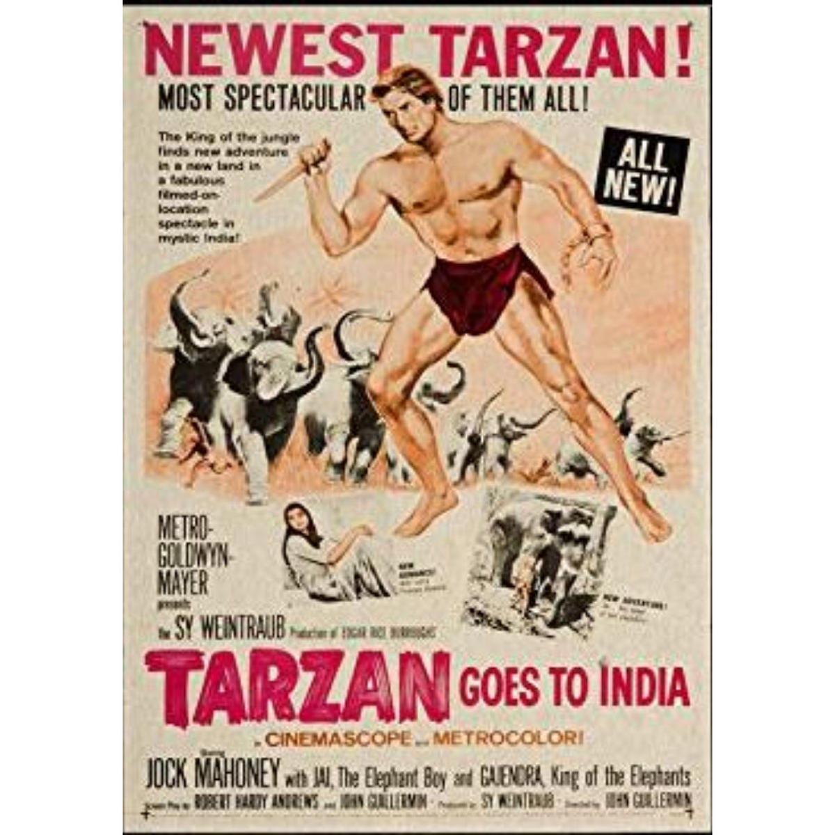 POSTER Filmtarzan Indien A3 Rahmenlos - Klar, Papier (29.7/5/42cm) - Nacnic