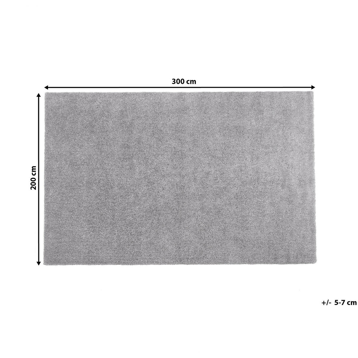 SHAGGY-TEPPICH Demre 300/200 cm - Grau, Kunststoff (200/300cm) - Beliani
