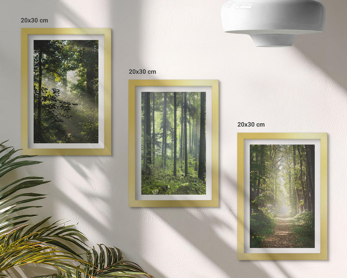 BILDER SET 3er Set - 20x30 cm Goldrahmen - Grüne Wälder mit Lichtstrahlen - Goldfarben, Kunststoff (20/30cm) - TULUP
