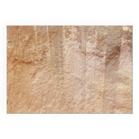 GLASPLATTE für Kamin 100x70 cm - Beige, Glas (100/70/0.4cm) - TULUP