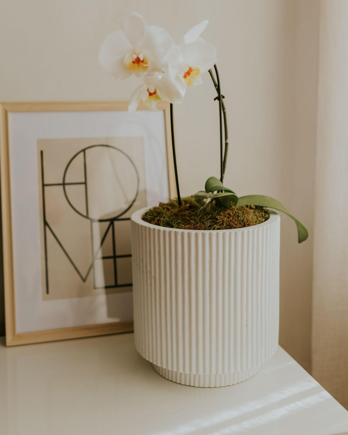 KVĚTINÁČ Bílý Daria - bílá, přírodní materiály (30cm) - Beliani