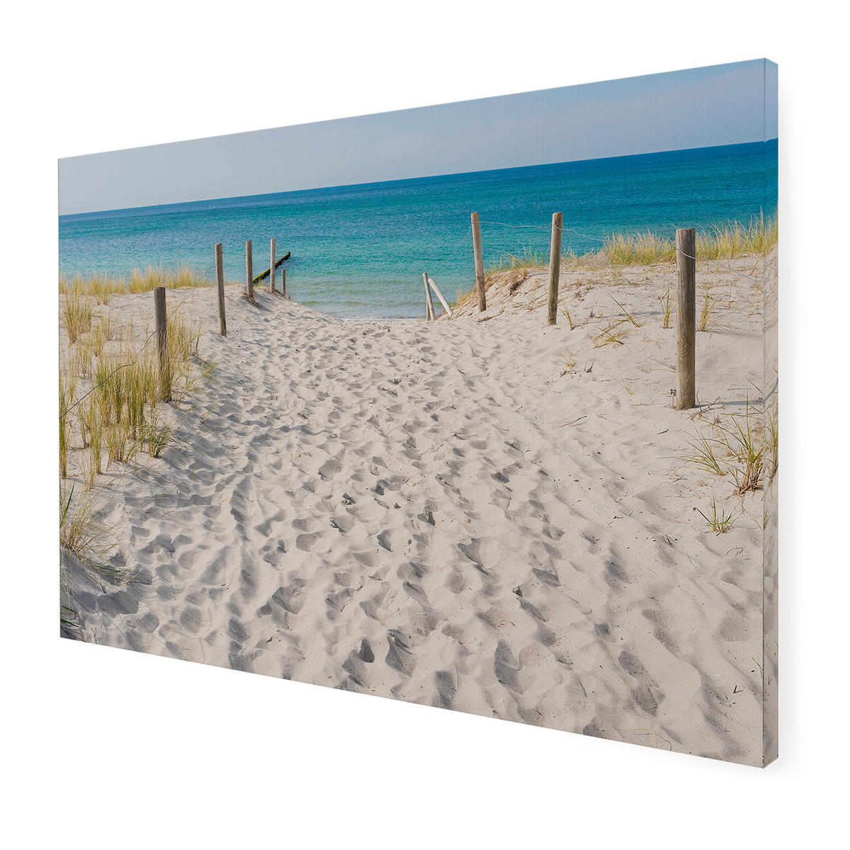 LEINWANDBILD Strandspaziergang 50x70cm - Blau/Braun, Textil (50/1cm) - Art for the Home