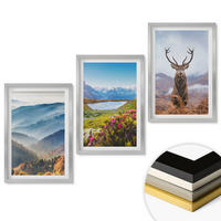 WANDBILDER 3er Set - 40x60 cm Silberner Rahmen - Natur des Bergseehirsches - Silberfarben, Kunststoff (40/60cm) - ArtPrintCave