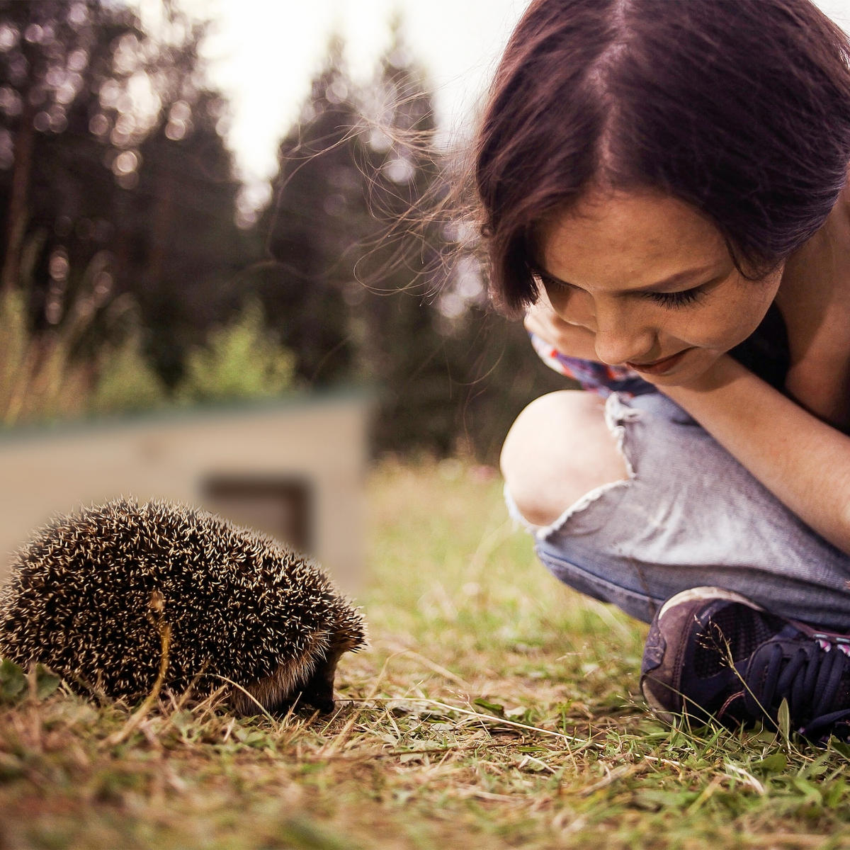 IGELHAUS - Hellbraun, Holz/Kunststoff (40/21.5/40cm) - Relaxdays