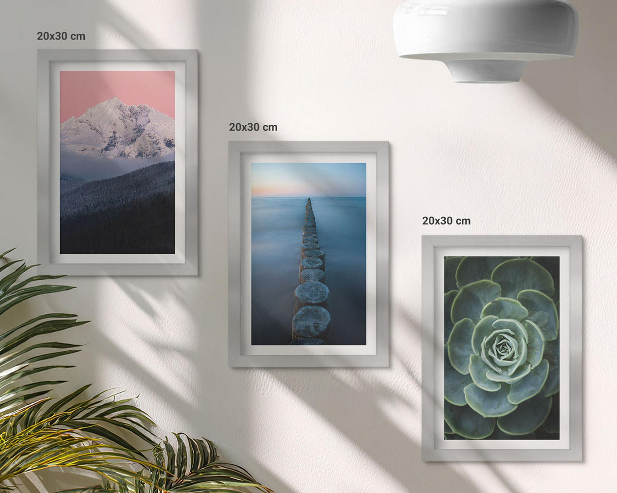 BILDER SET 3er Set - 20x30 cm Silberner Rahmen - Berge, rosa Himmel, Wasser, Sukkulente - Silberfarben, Kunststoff (20/30cm) - TULUP