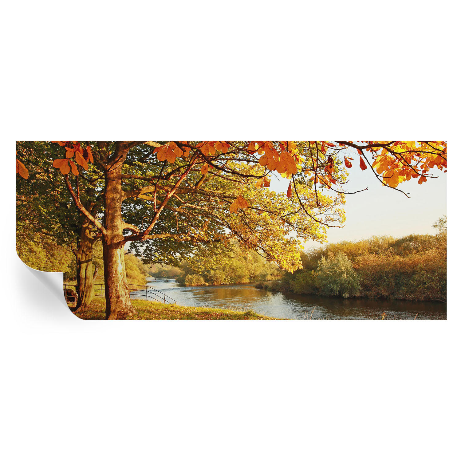 FOTOTAPETE 250x104 cm - Küstenherbst - Gelb, Textil (250/104cm) - Wallfluent