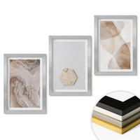 WANDBILDER 3er Set - 20x30 cm Silberner Rahmen - Designerabstraktion der Natur - Silberfarben, Kunststoff (20/30cm) - ArtPrintCave