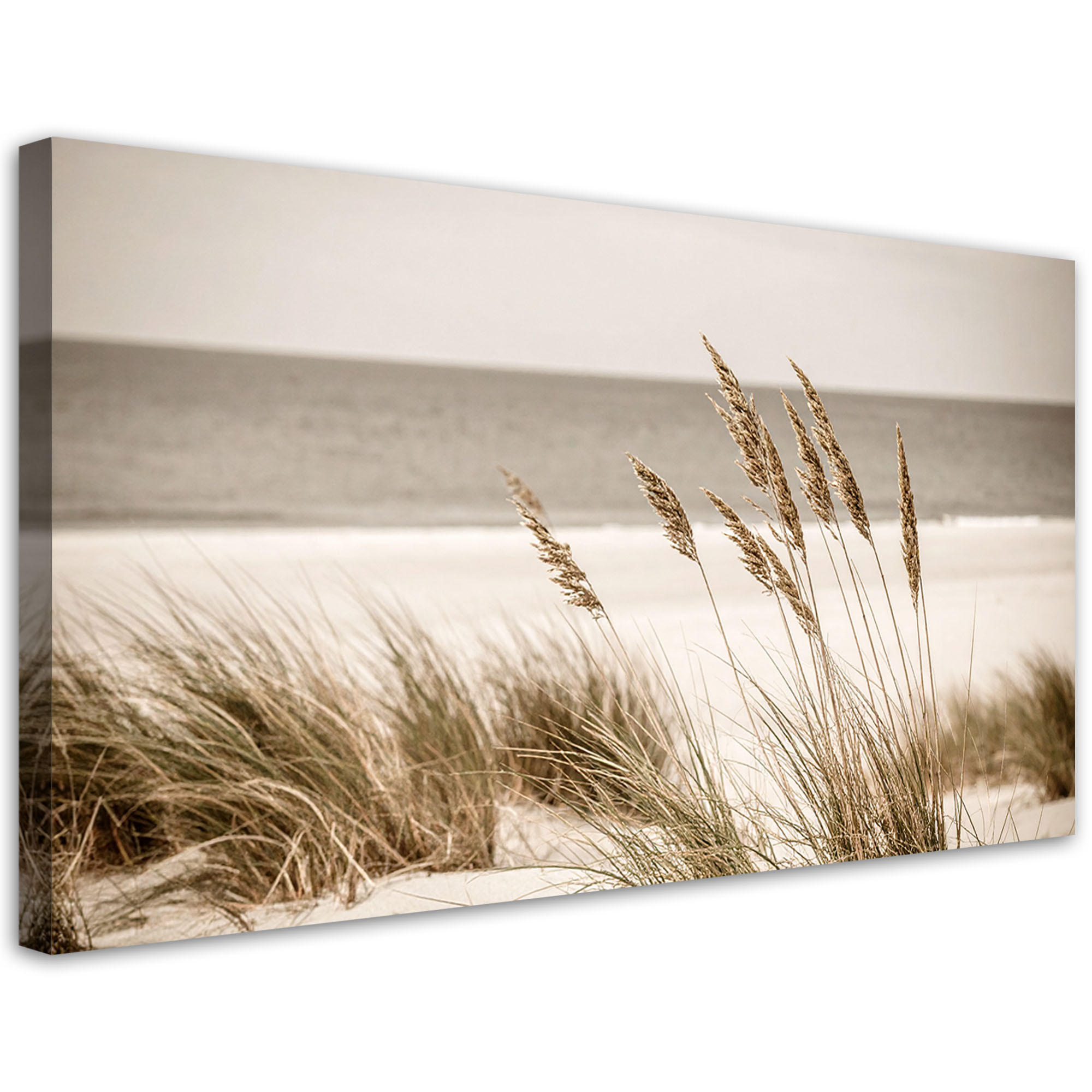 Feeby Leinwandbild Beige 120x60 cm