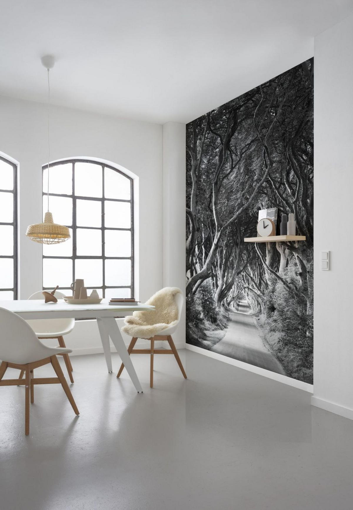 FOTOTAPETE Wald 250 x 280 cm - Schwarz, Papier (250/280cm) - Sanders & Sanders