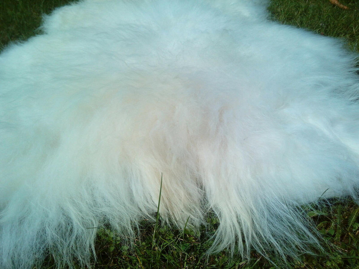 SCHAFFELL Island Naturweiß, Lange Zottelige Wolle, ca. 120 cm - Weiß, Fell (70/120cm) - Provellus
