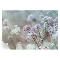 FOTOTAPETE 312x219 cm - Wildblumen - Weiß, Textil (312/219cm) - Wallfluent