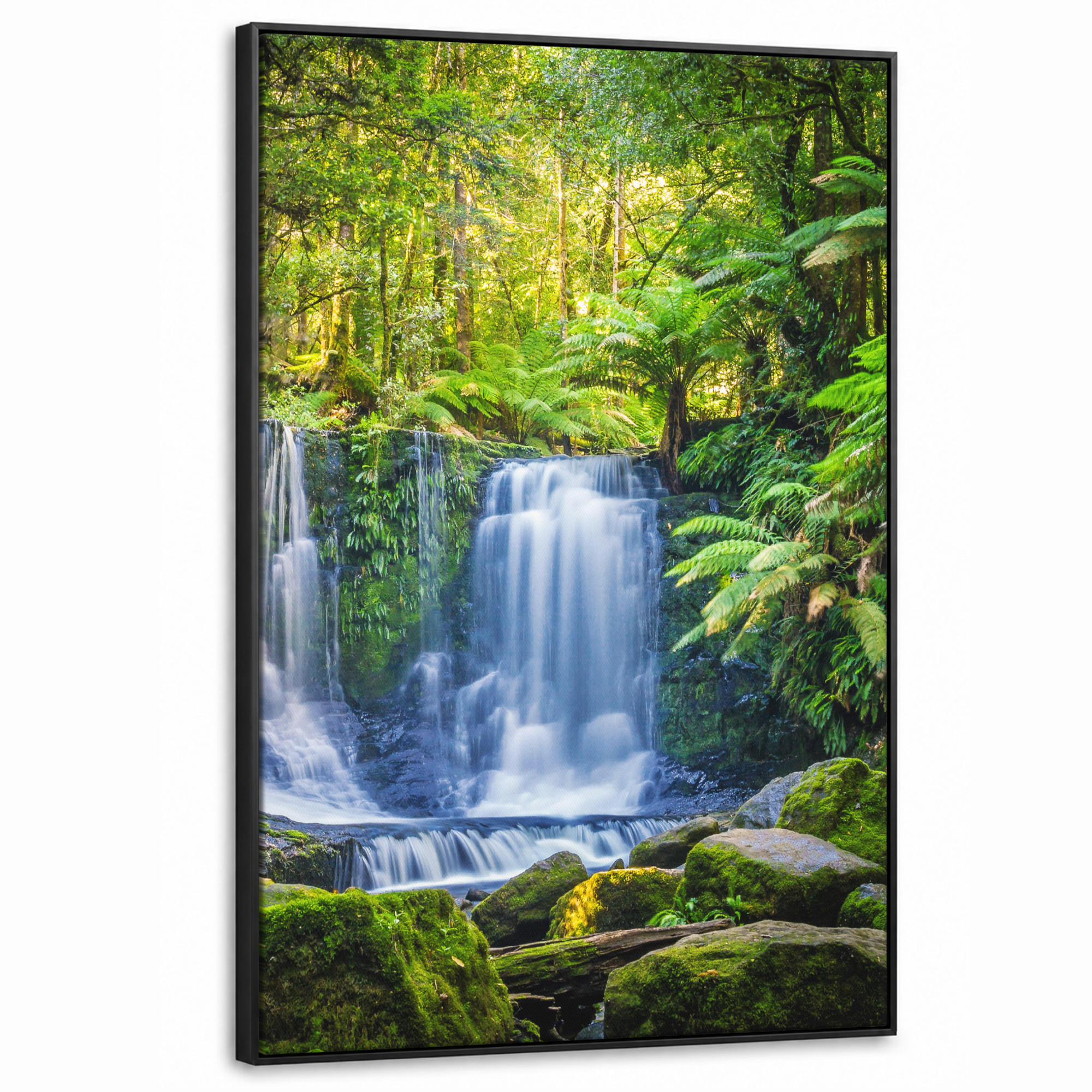 MuchoWow Leinwand Dunkelgrün 80x120 cm