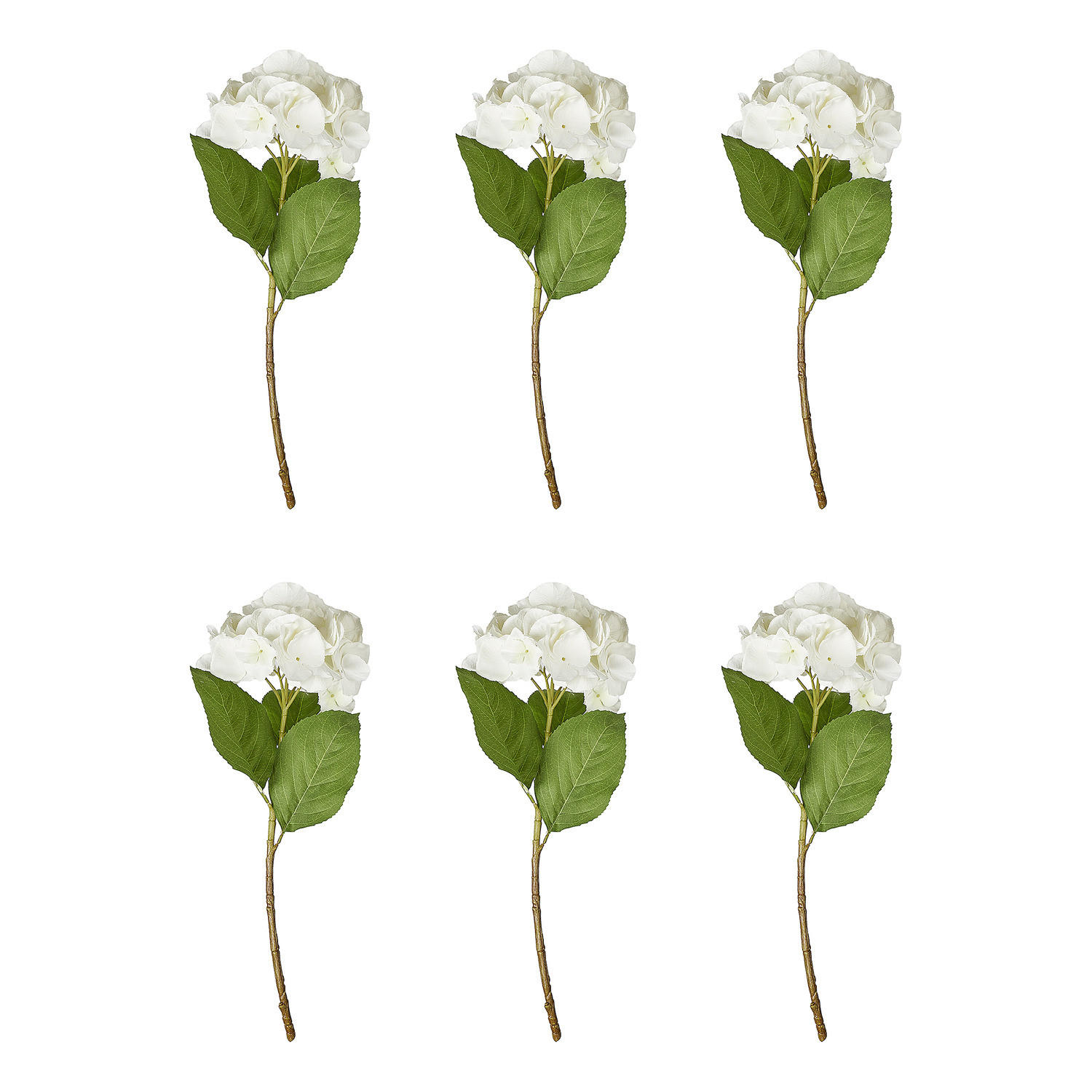 KUNSTBLUME (6er Set) Florista - Weiß, Kunststoff (62cm) - BUTLERS