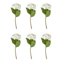 KUNSTBLUME (6er Set) Florista - Weiß, Kunststoff (62cm) - BUTLERS