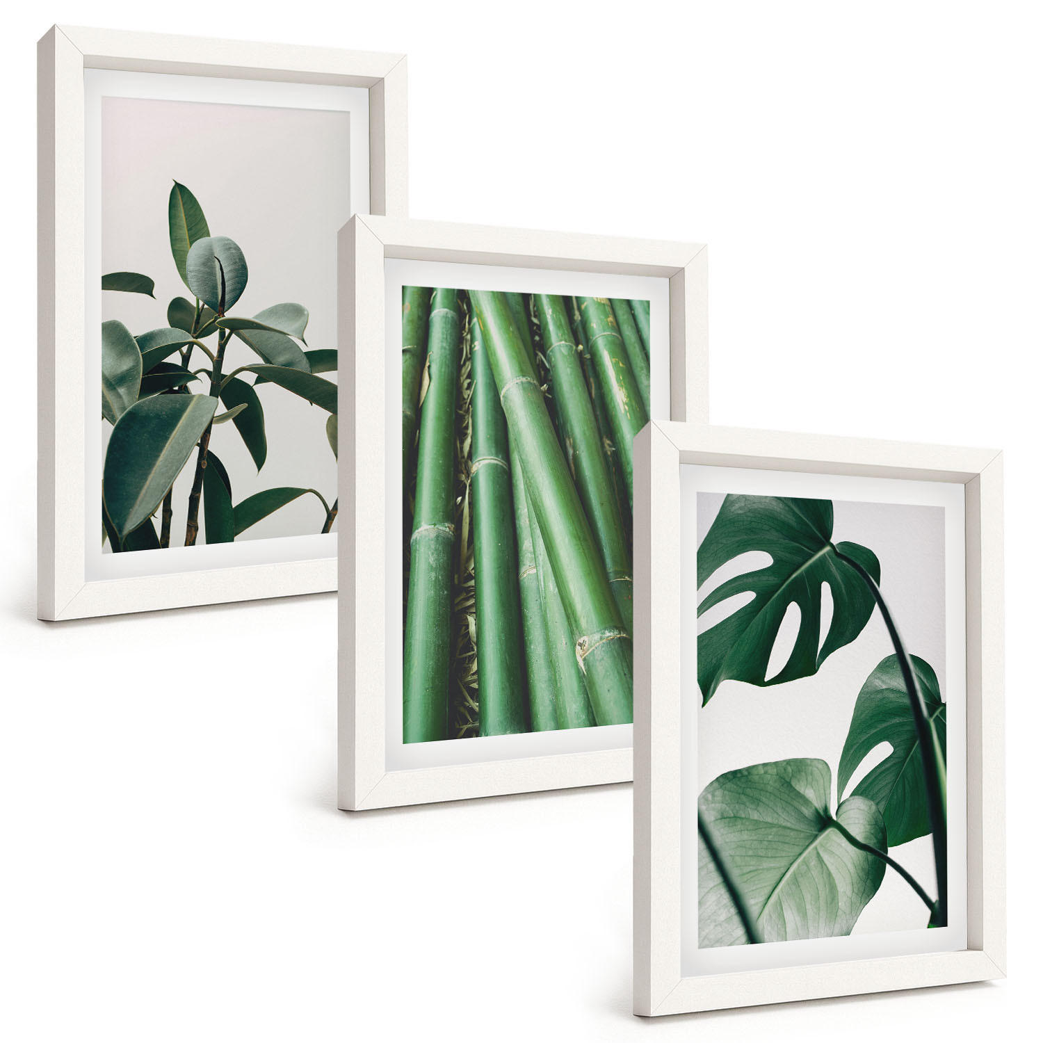 BILDER SET 3er Set - 20x30 cm Weißer Rahmen - Bambusstängel und Monstera-Blätter - Weiß, Kunststoff (20/30cm) - TULUP