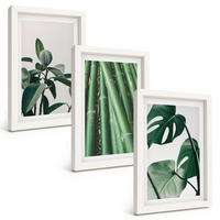 BILDER SET 3er Set - 20x30 cm Weißer Rahmen - Bambusstängel und Monstera-Blätter - Weiß, Kunststoff (20/30cm) - TULUP