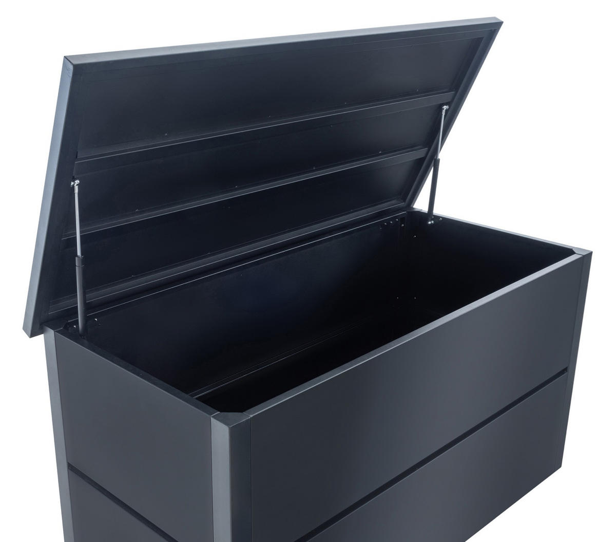 AUFLAGENBOX Adlan L - Schwarz, Kunststoff (165/85/69cm) - TPFGarden