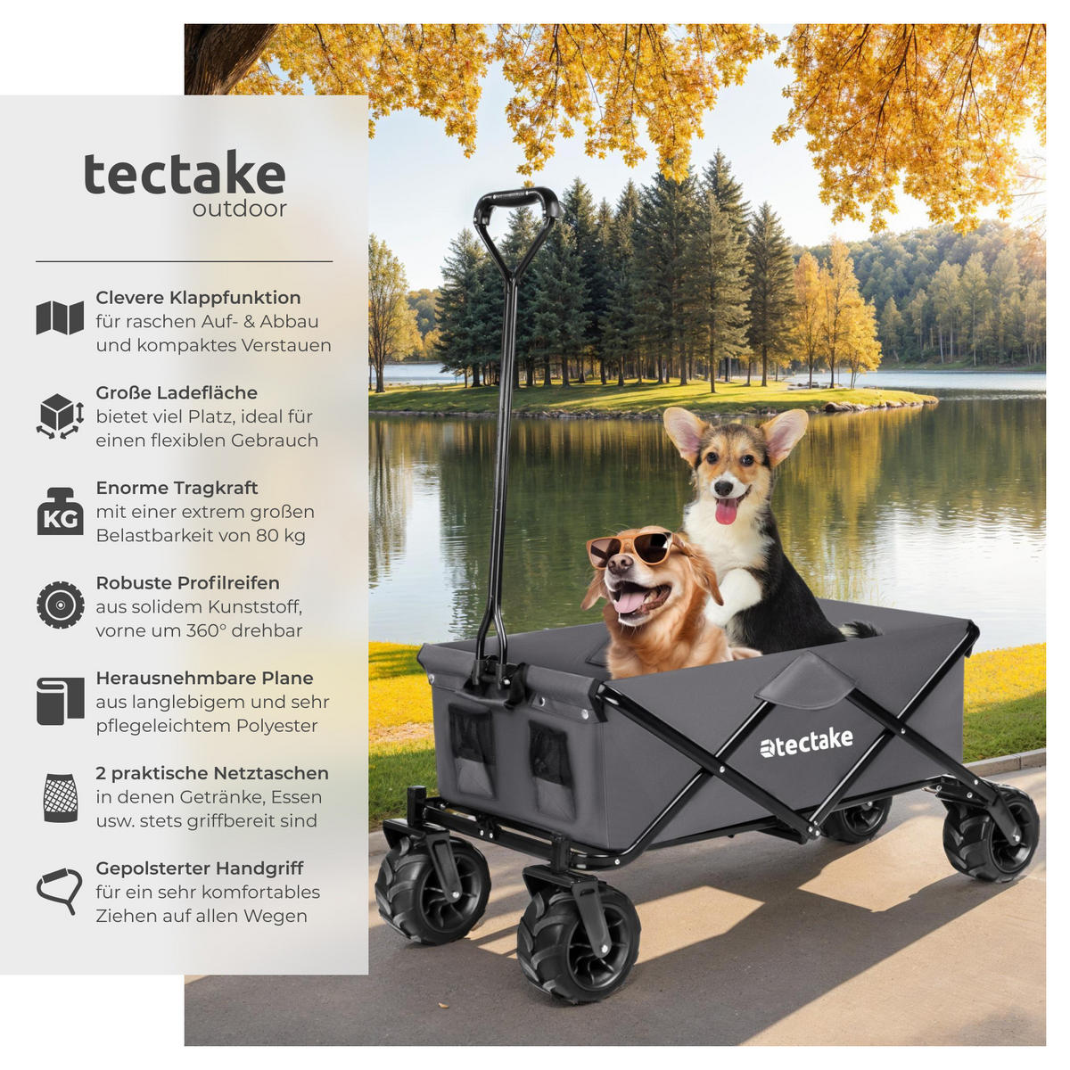 BOLLERWAGEN Heidrun, inklusive Tragetasche, Belastbarkeit 80 kg, grau - Grau, Textil (51/120.5/114cm) - tectake