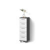 BADSCHRANK Eisak Anthrazit 30 x 95 cm - Anthrazit, Holzwerkstoff (30/95/30cm) - Livinity®