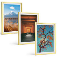 BILDER SET 3er Set - 40x60 cm Goldrahmen - Japanische Naturlandschaften - Goldfarben, Kunststoff (40/60cm) - TULUP