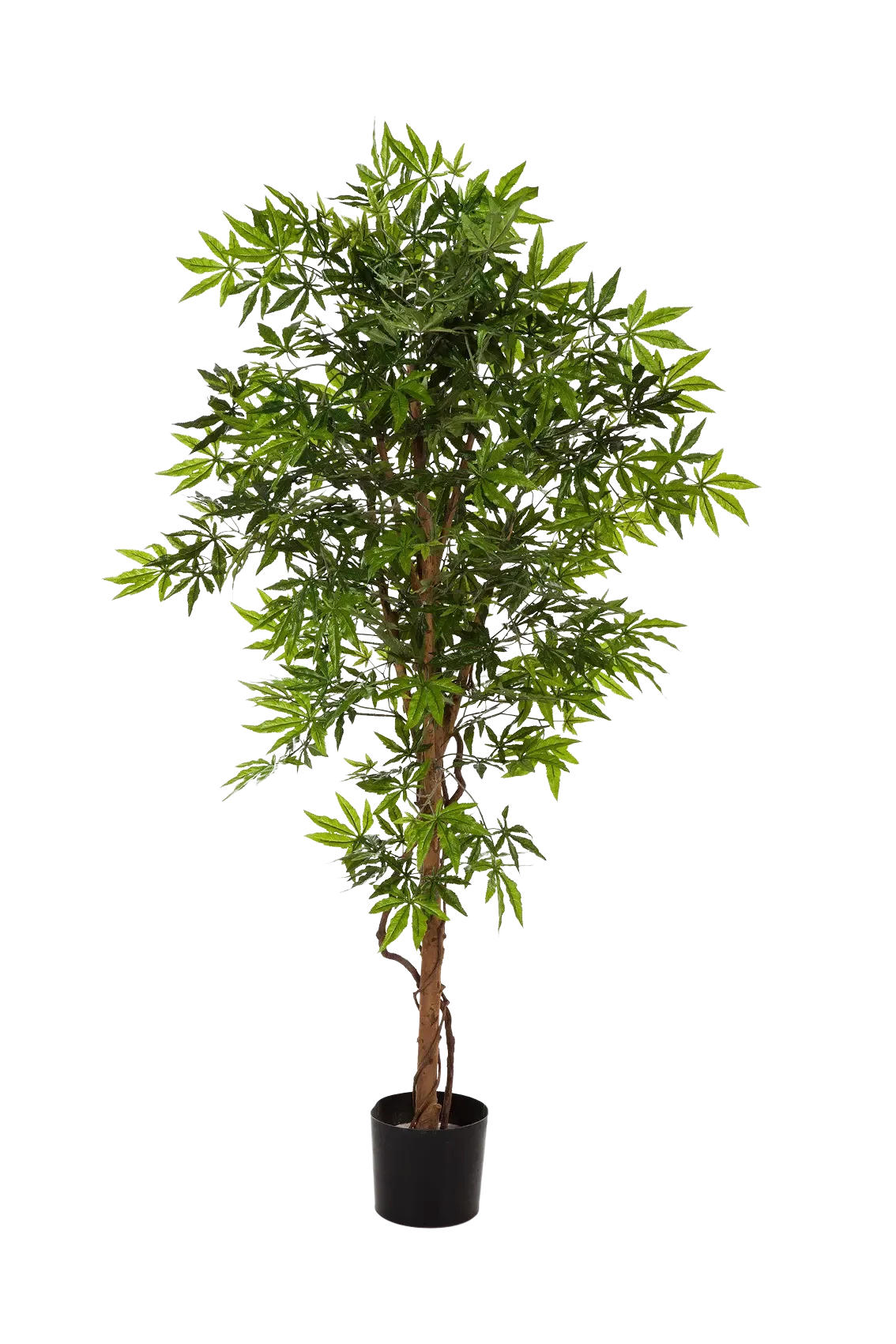 KUNSTBAUM Künstlicher Japanischer Ahorn - Ottilie 210 cm - Grün, Kunststoff (210cm) - aplanta