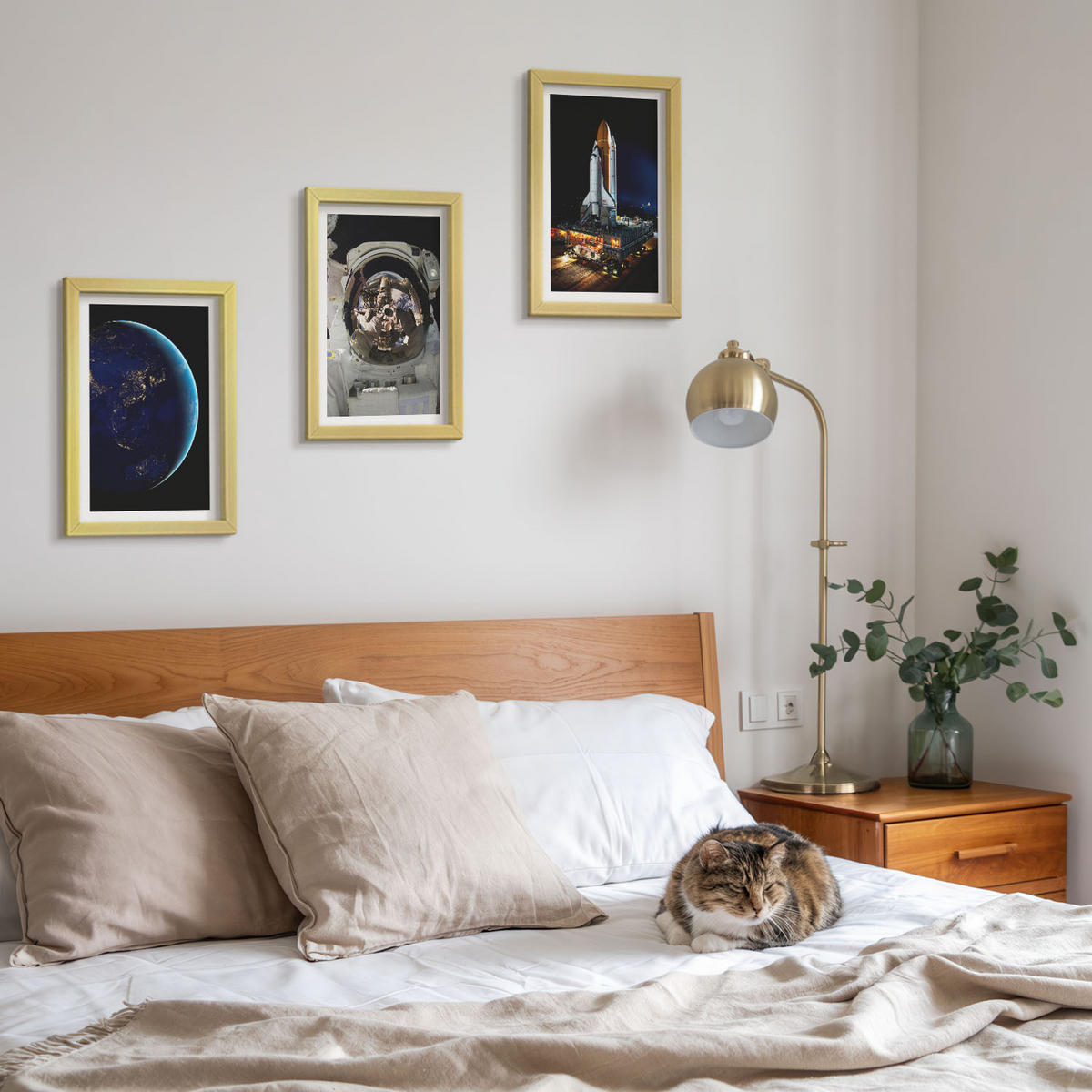 BILDER SET 3er Set - 20x30 cm Goldrahmen - Weltraum Erde Astronaut Rakete - Goldfarben, Kunststoff (20/30cm) - TULUP