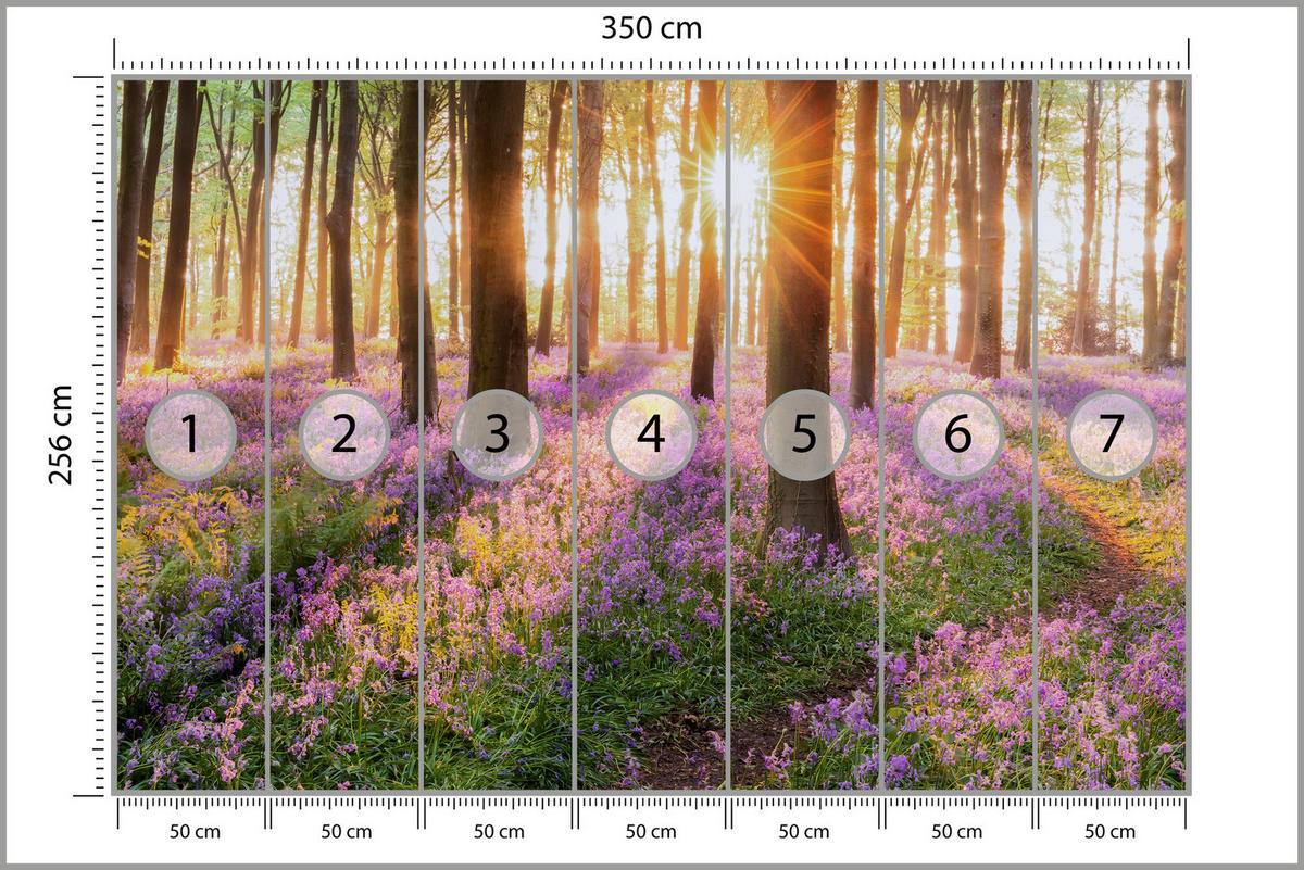 FOTOTAPETA Les Kvety Východ Slnka Krajina 3D 350 x 256 cm - oranžová/hnedá, papier (350/256cm) - Muralo