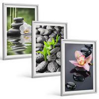 BILDER SET 3er Set - 40x60 cm Silberner Rahmen - Eine ruhige Zen-Komposition aus Blumen und Wasser - Silberfarben, Kunststoff (40/60cm) - TULUP