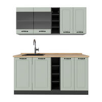 SINGLEKÜCHE R-Line, Mint Landhaus/Anthrazit, 160 cm Arbeitsplatte Goldkraft Eiche - Anthrazit/Grün, Holzwerkstoff (160/81.6/60cm) - Vicco