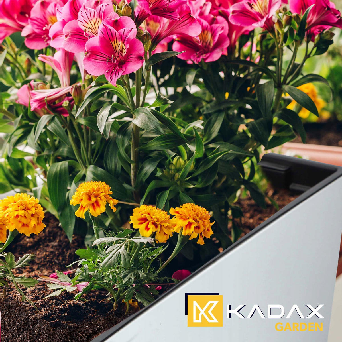 BALKONKASTEN mit Henkel 56 cm Weiß - Weiß, Kunststoff - KADAX