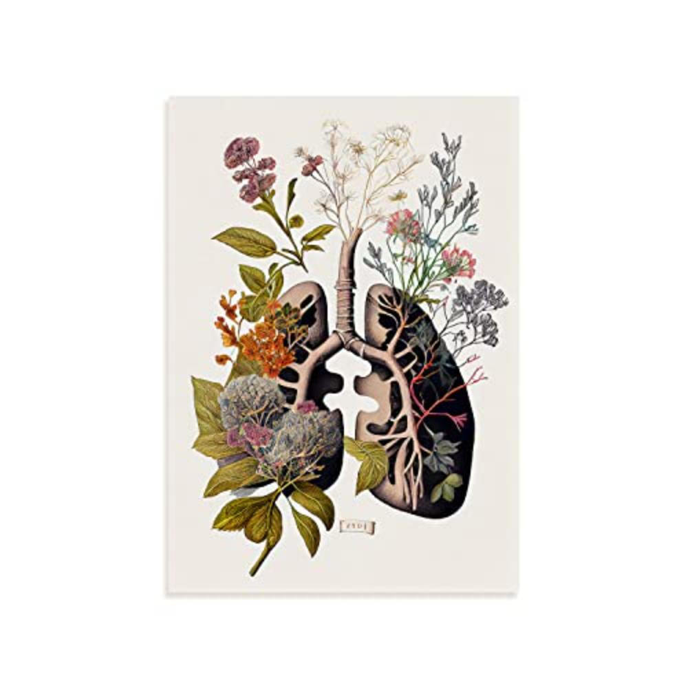 POSTER Set Mit 4 Anatomie Bronchien A4 Rahmenlos - Klar, Papier (29.7/3cm) - Nacnic