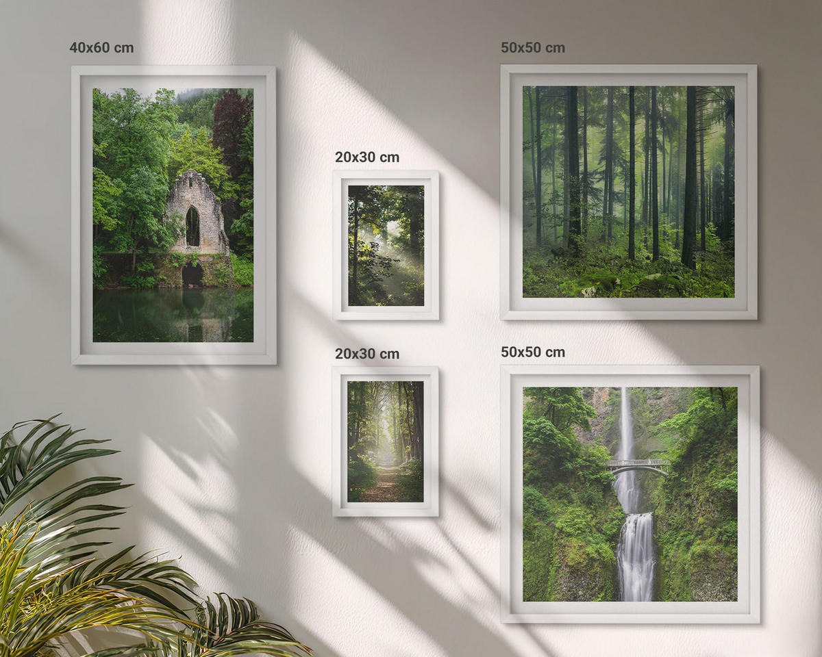 WANDBILDER 5er-Set - 50x50 cm & 20x30 cm & 40x60 cm Weißer Rahmen - Grüne Wälder, Lichtstrahlen - Weiß, Kunststoff (40/60cm) - ArtPrintCave