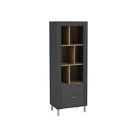 STANDREGAL Mossa 2S MO04 - Goldfarben/Schwarz, Holzwerkstoff/Kunststoff (60/169/40cm) - MIRJAN24