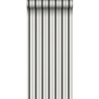 TAPETE Streifen 53 cm x 10.05 m - Grau, Papier (53/1000cm) - Sanders & Sanders